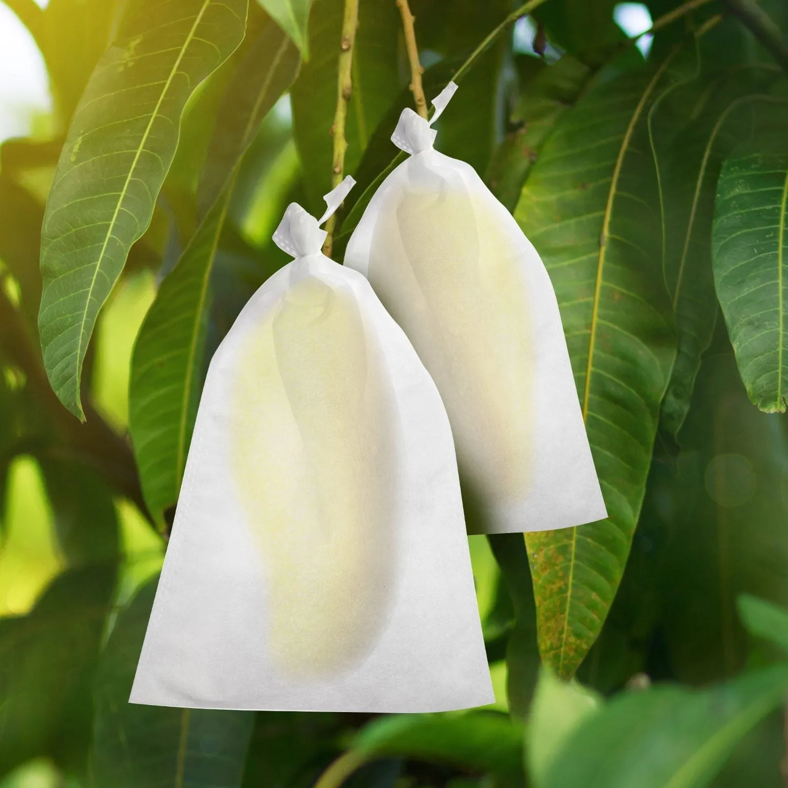 100pcs Fruit Protection Bags, 7.9" x 11.8" Garden Plant Netting Covers with