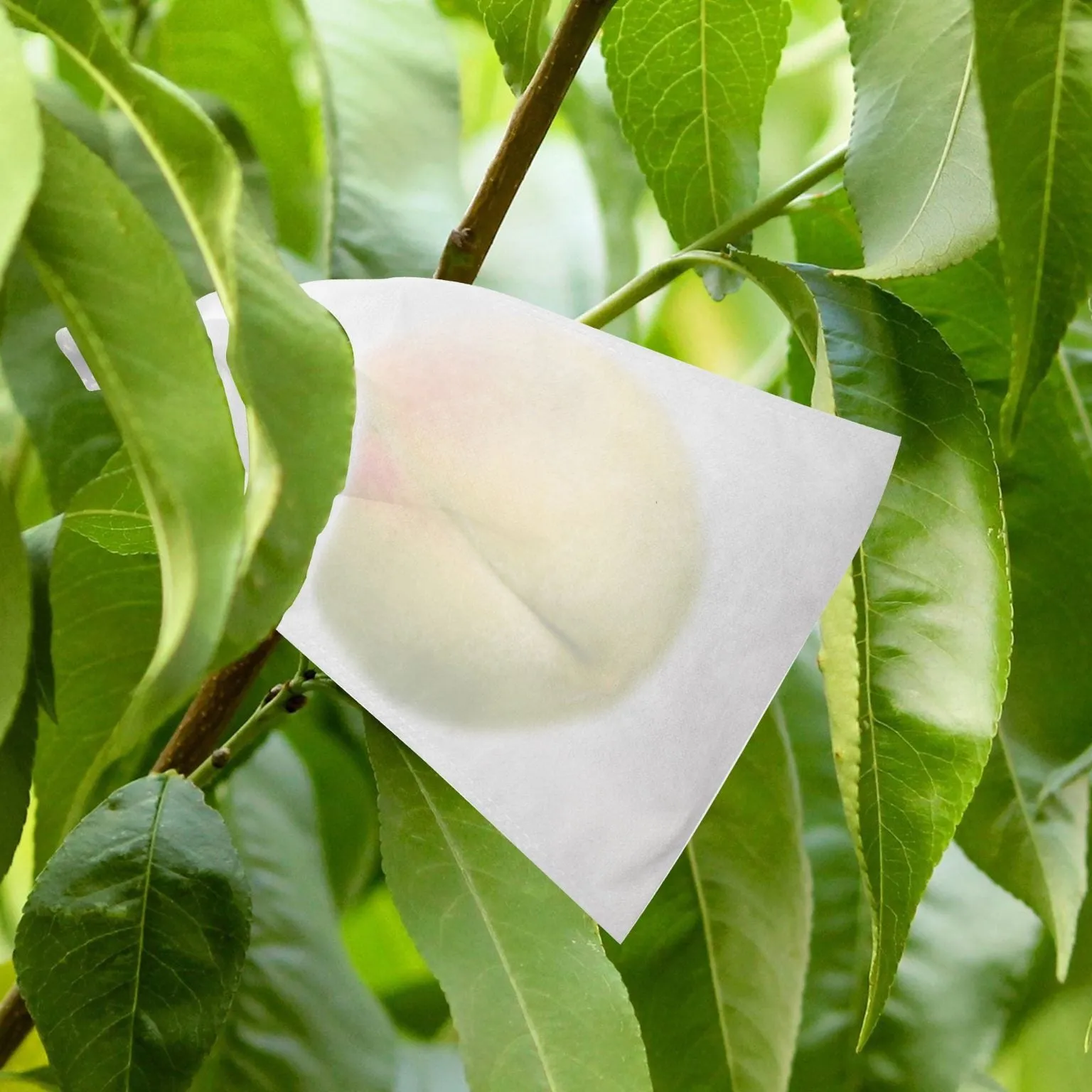 100pcs Fruit Protection Bags, 7.9" x 11.8" Garden Plant Netting Covers with