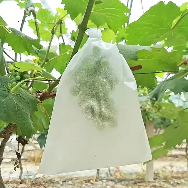100pcs White Fruit Protection Bags 30x20cm/11.8x7.9 inch Fruit Cover Mesh Bag with Drawstring Protecting Vegetables and Fruits from Birds and Pests Non-woven Cloth Strawberry Grape Grow Bags Antifr