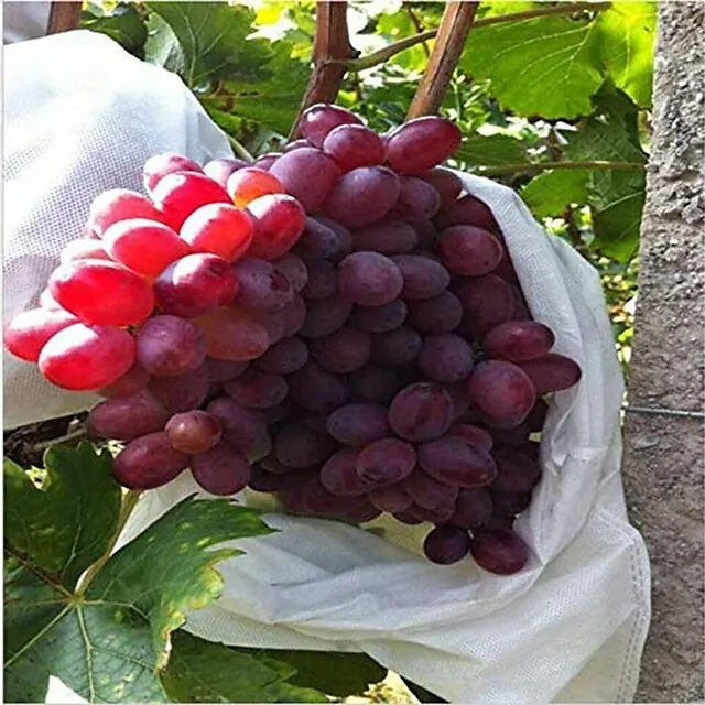 100pcs White Fruit Protection Bags 30x20cm/11.8x7.9 inch Fruit Cover Mesh Bag with Drawstring Protecting Vegetables and Fruits from Birds and Pests Non-woven Cloth Strawberry Grape Grow Bags Antifr