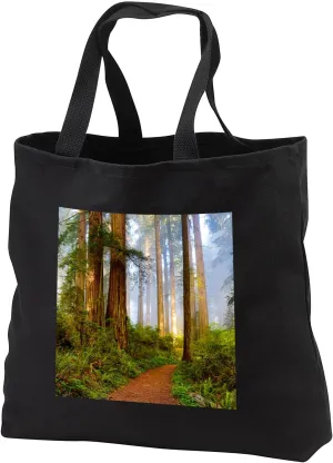 3dRose Black Tote Bag JUMBO 20w x 15h x 5d - California, Del Norte State Park, trail leading into the woods Forests