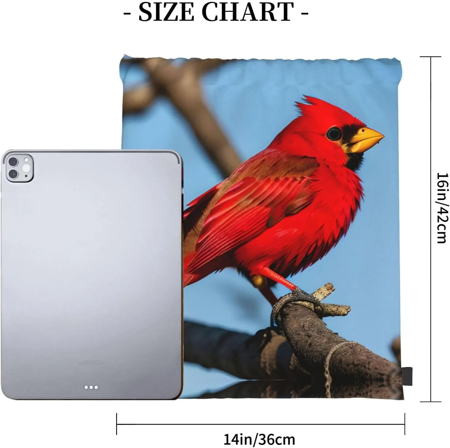 beautiful red Bird Print Sports Drawstring Backpack,Water Resistant Bag, Gym Backpack for Women Men