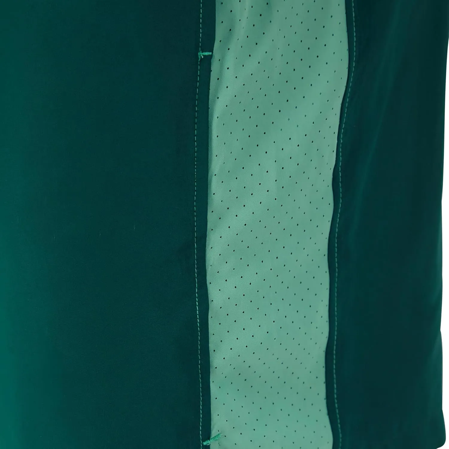Champion Men's Shorts, Woven Sport Shorts, Moisture Wicking, Athletic Shorts, 7