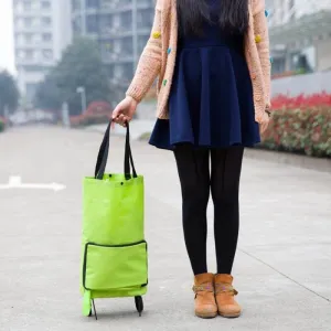 Eco-Friendly Reusable Tote Bag - Foldable Sustainable Shopping Bag