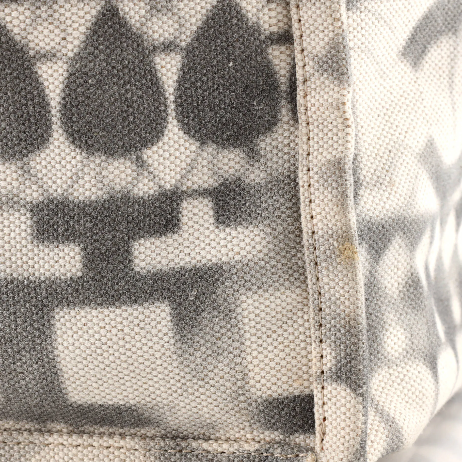 Iliad Shopping Tote Printed Canvas Medium