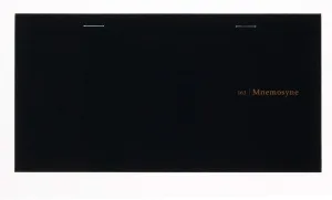 Maruman MNEMOSYNE Weekly Planner 3.54 x 7.95 Inches, Mon - Sun special ruled, 30 Sheets (N163)