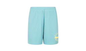 Mesh Gym Shorts "Sky Blue"