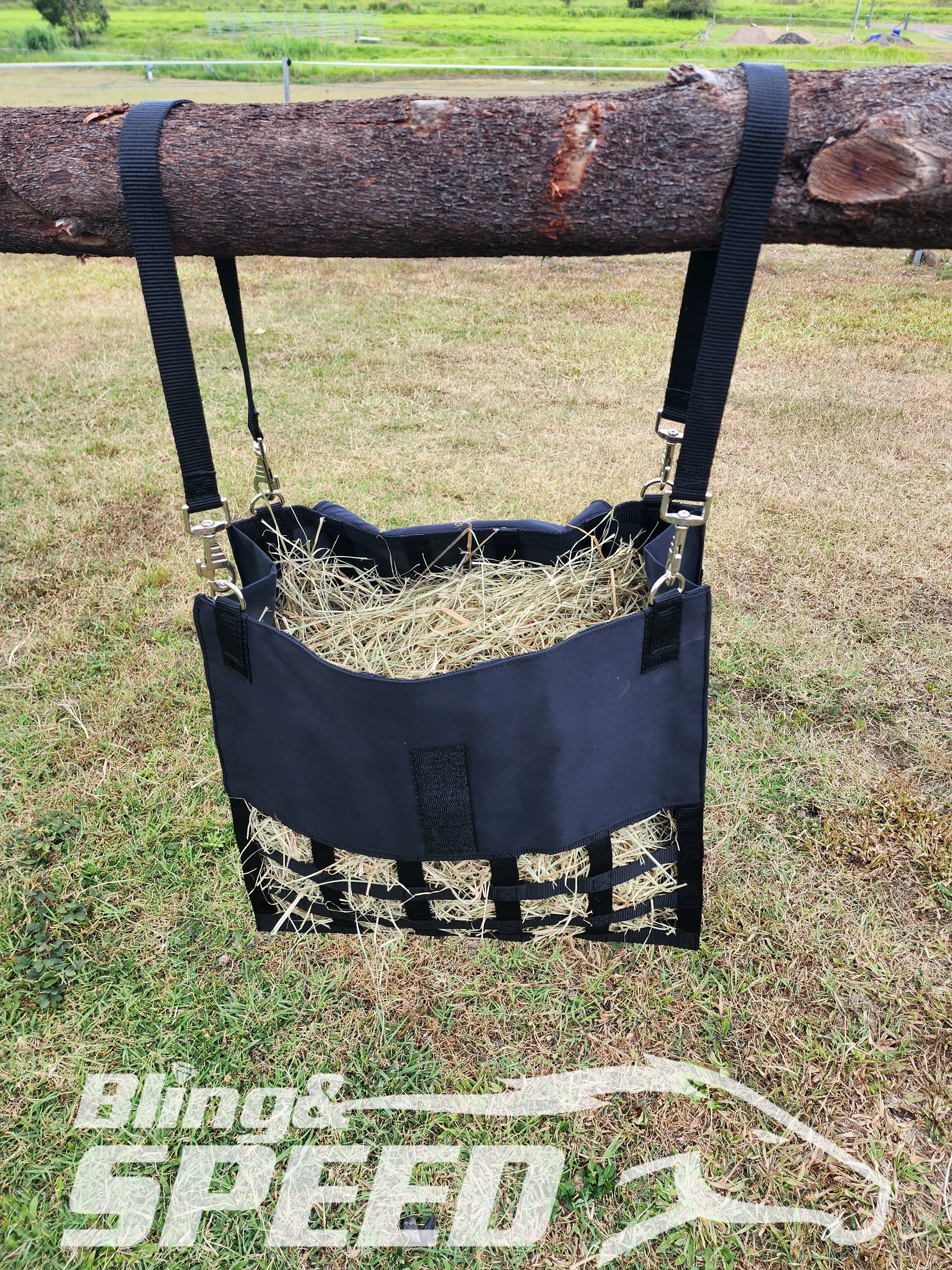 Must have Hay Net!