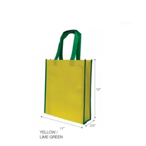 Non Woven Bag