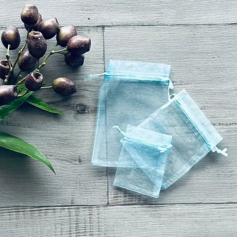 Organza Bag Sky Blue - Small